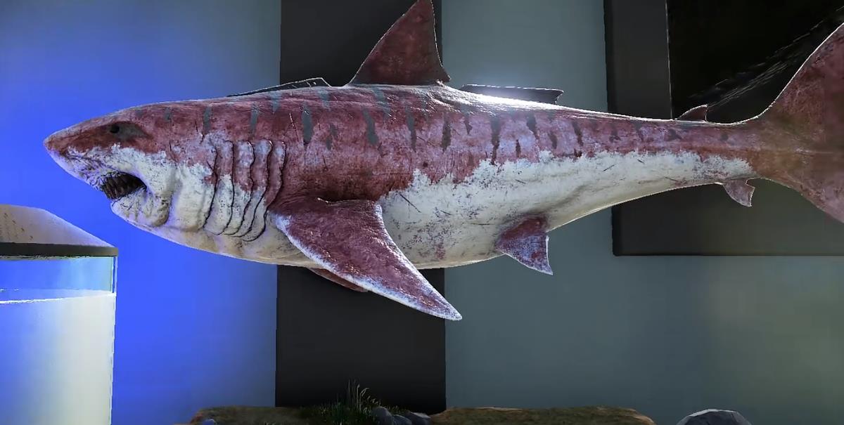 我的世界神奇宝贝巨齿鲨进化，我的世界驯服远古巨齿鲨教学_https://www.ybmzs.com_游戏攻略_第1张