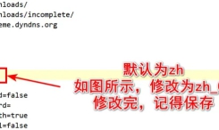 qbittorrent怎么用ipv6，qbittorrent改中文教程-第三张