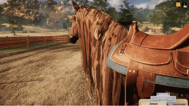 《动物收容所》公布全新DLC——《马匹收容所》闪新登场！_https://www.ybmzs.com_游戏攻略_第2张